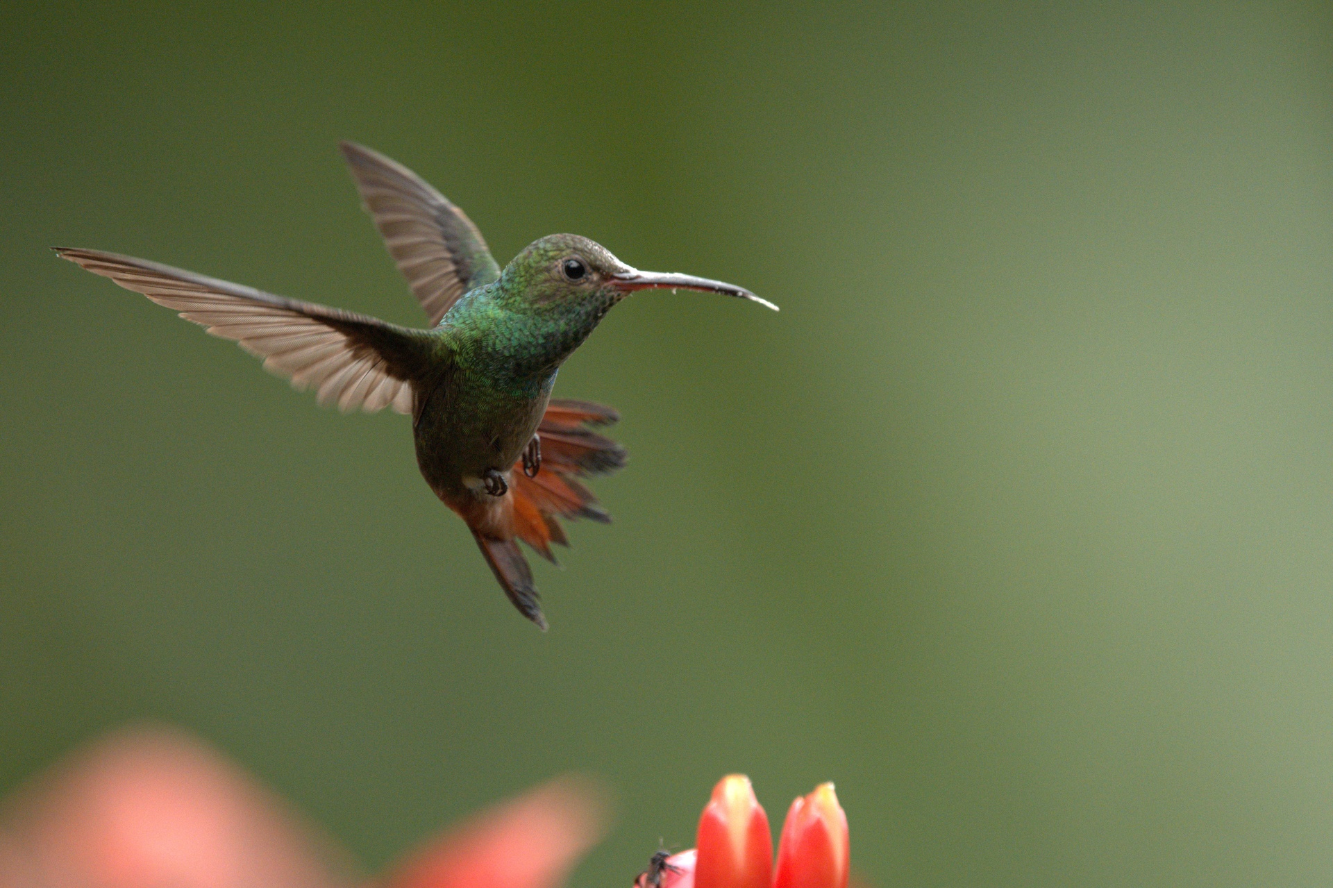 Landscape Photography