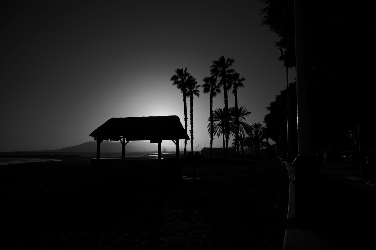 Monochrome Photography